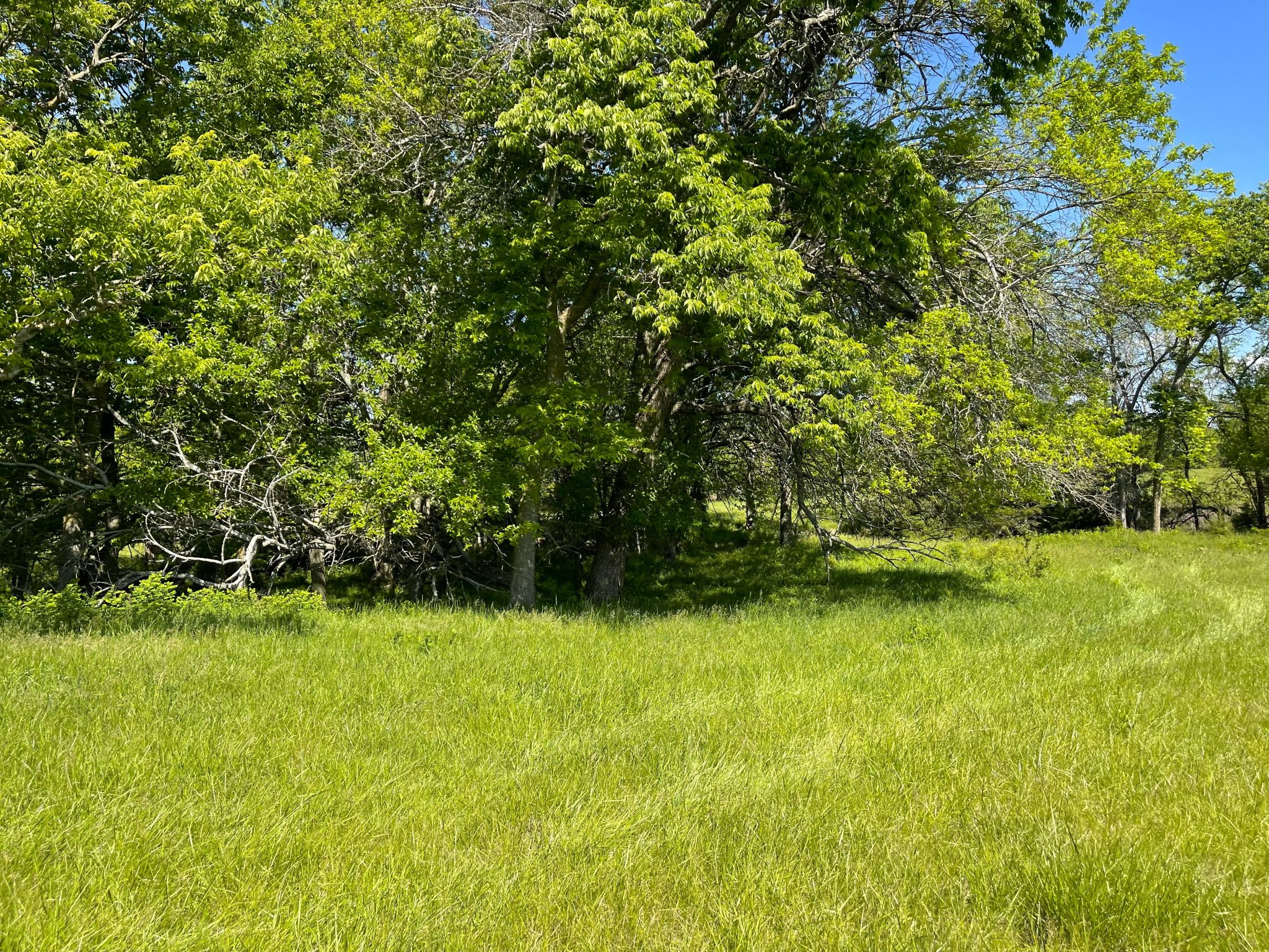919 N 100 Road