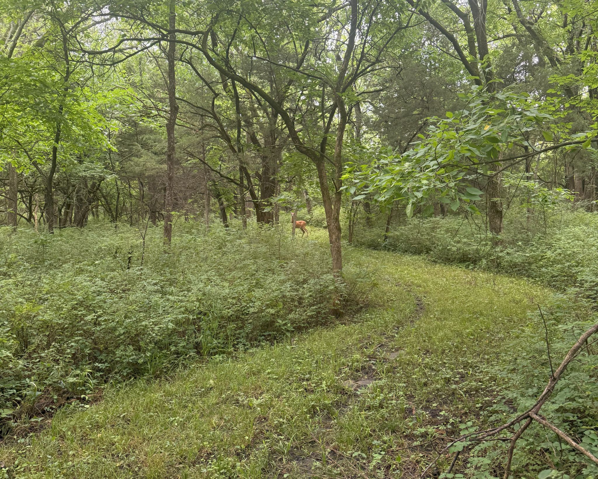 816 E 800 Road
