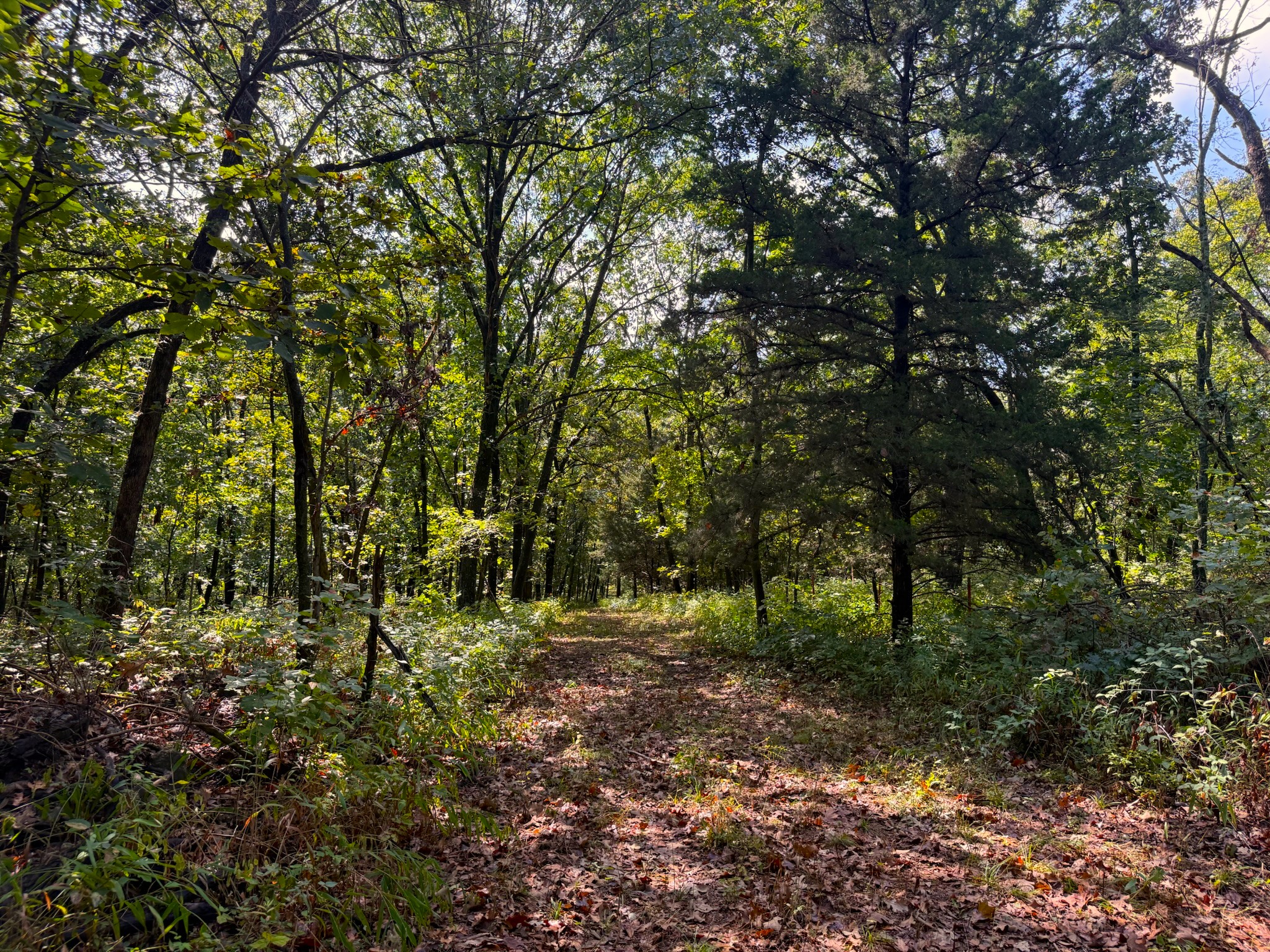 17688 Golden Road