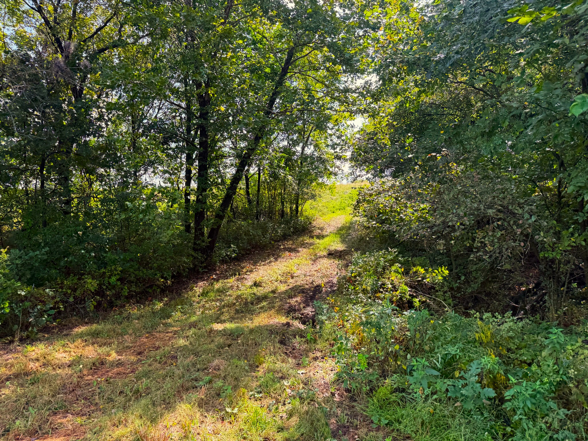 17840 Golden Road