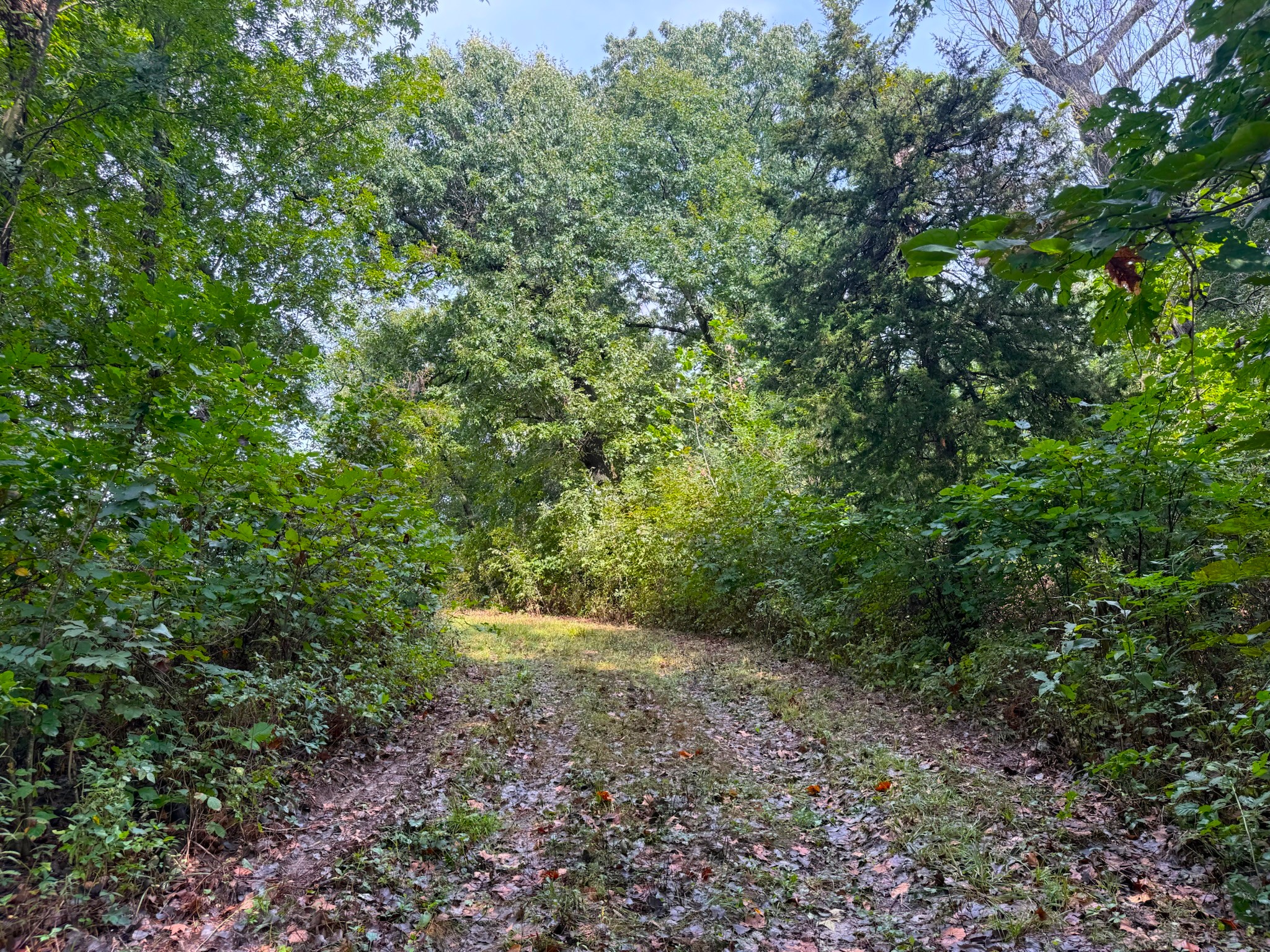 17660 Golden Road