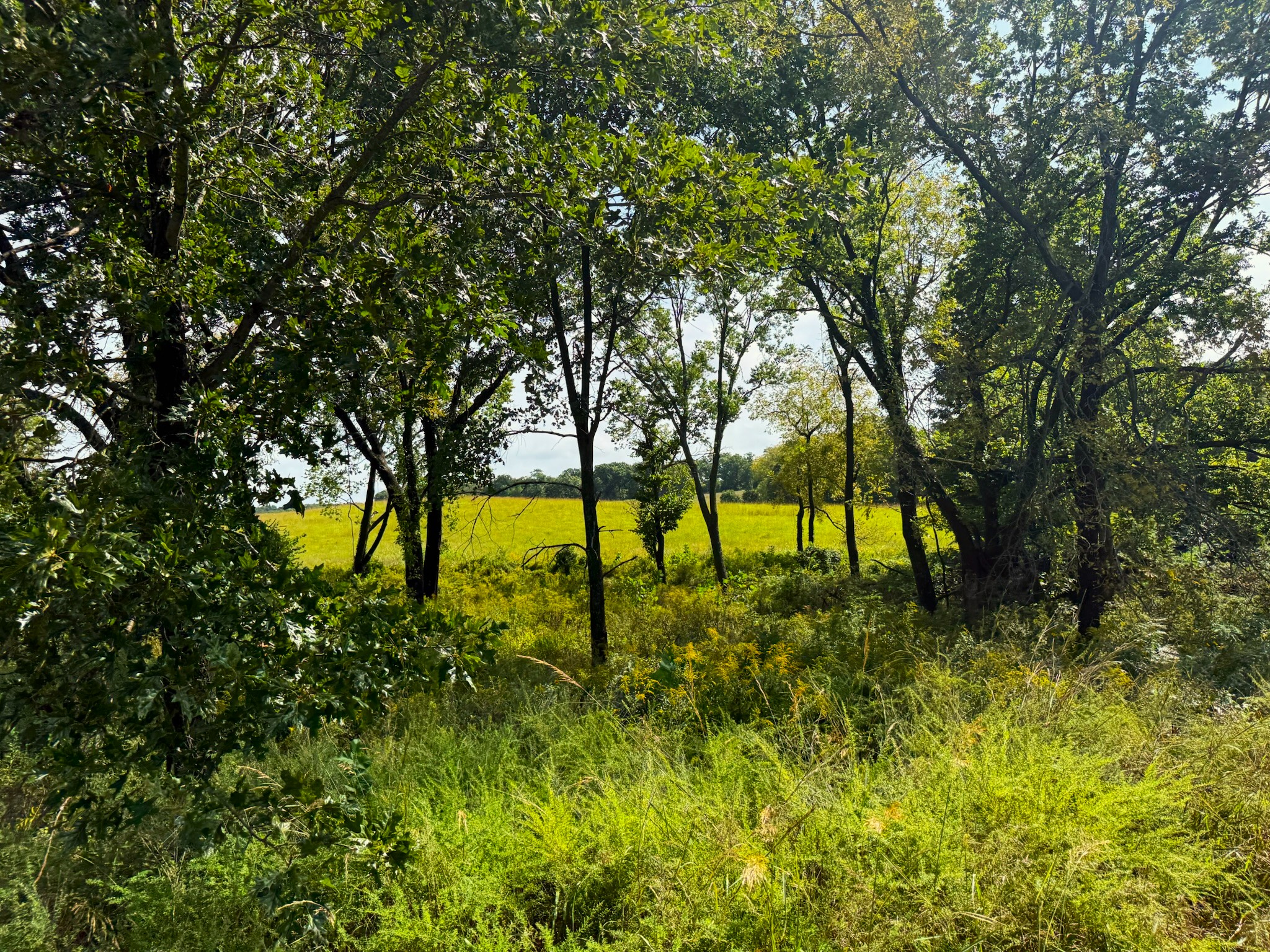 17840 Golden Road
