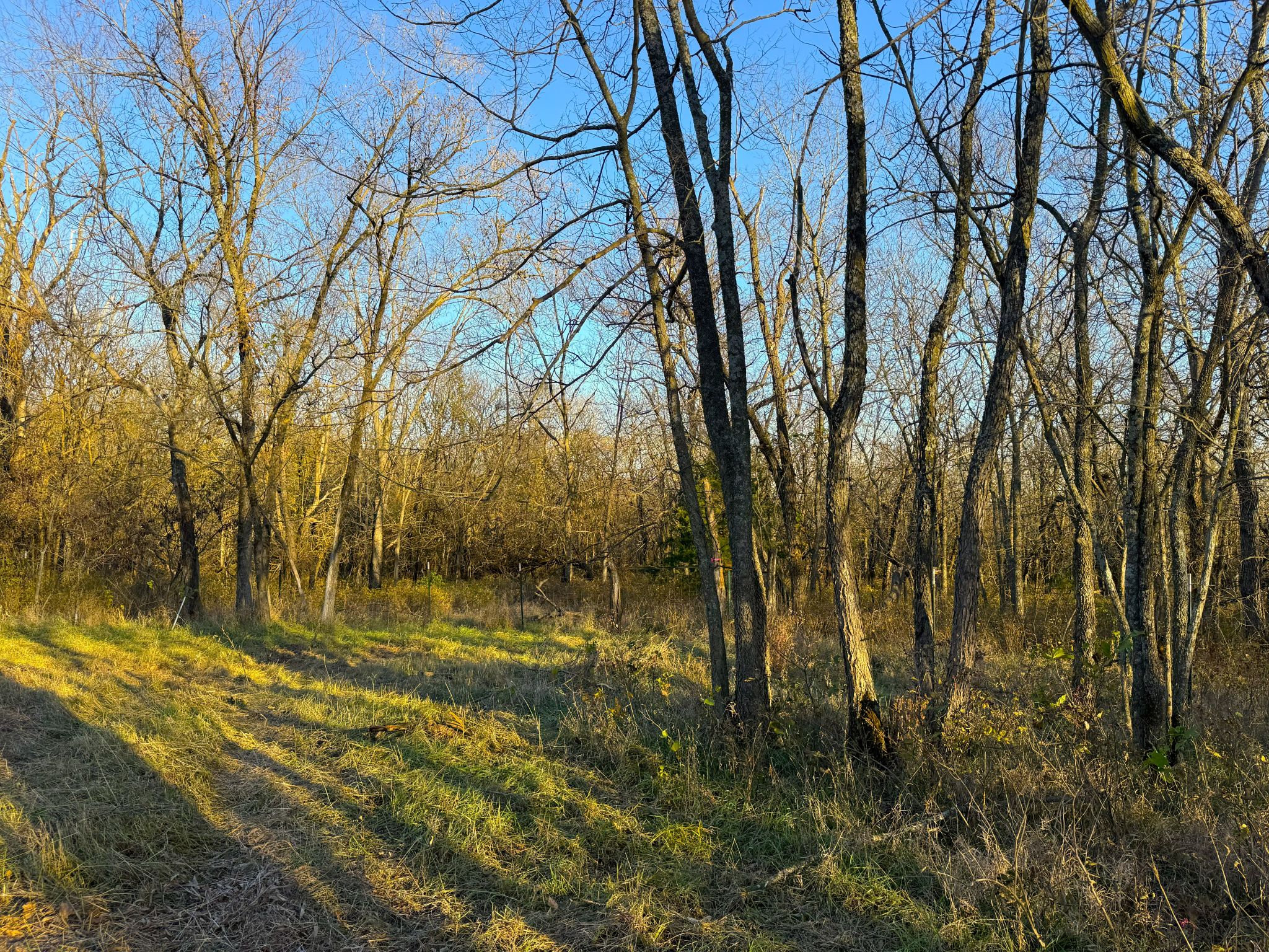 135 N 1150 Road
