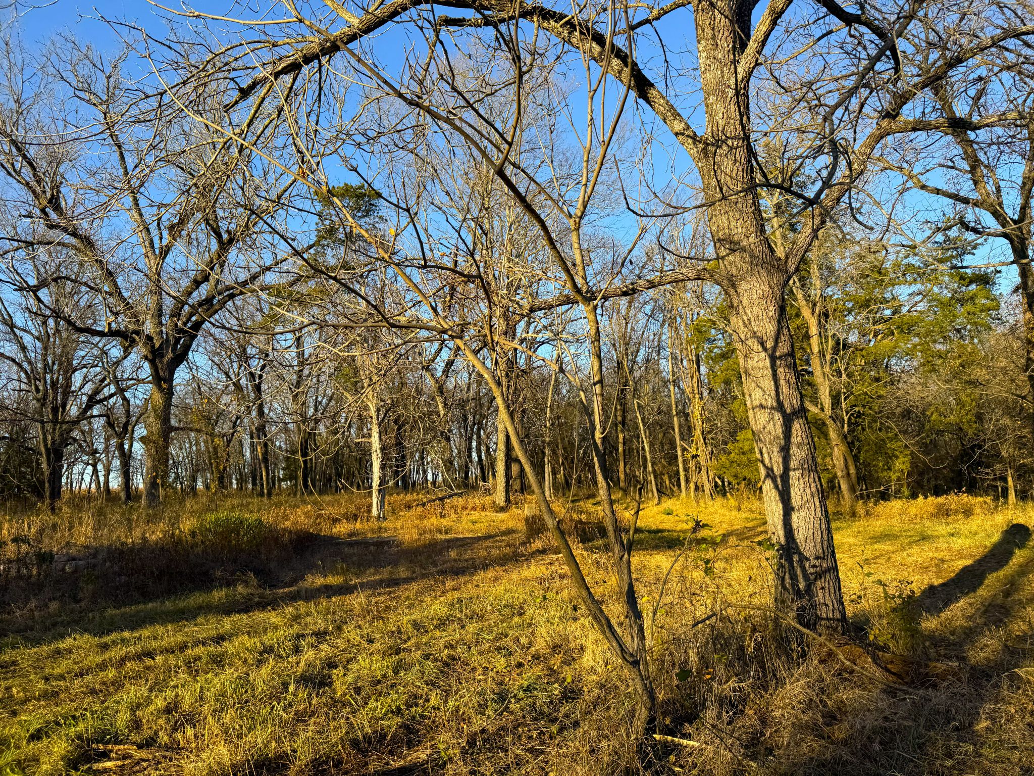 135 N 1150 Road