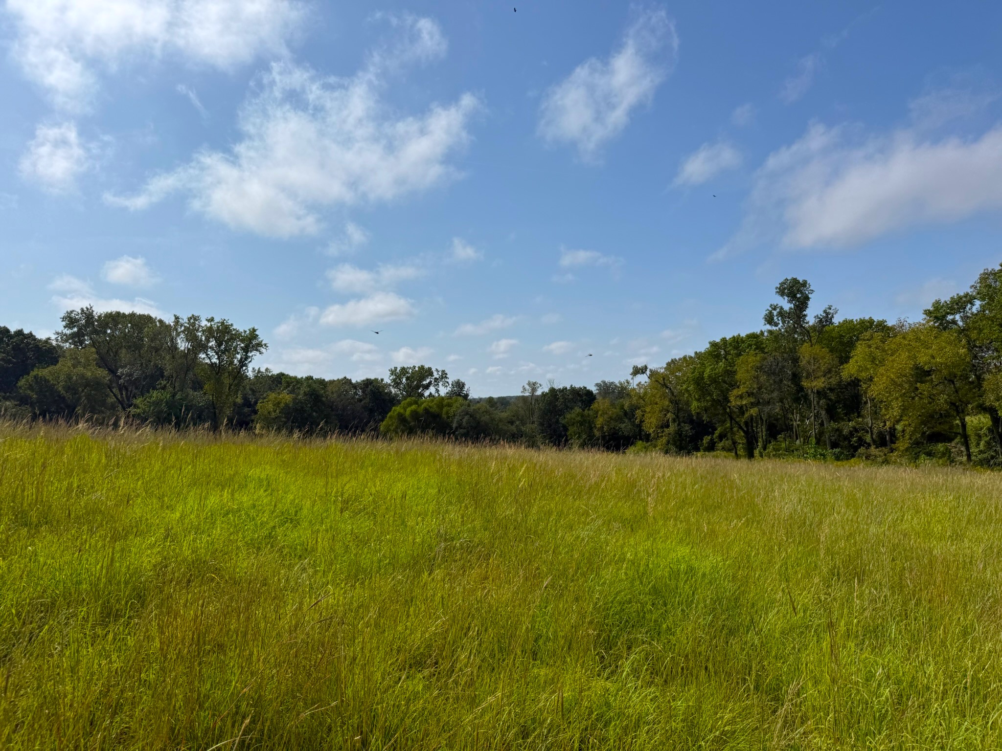 17840 Golden Road