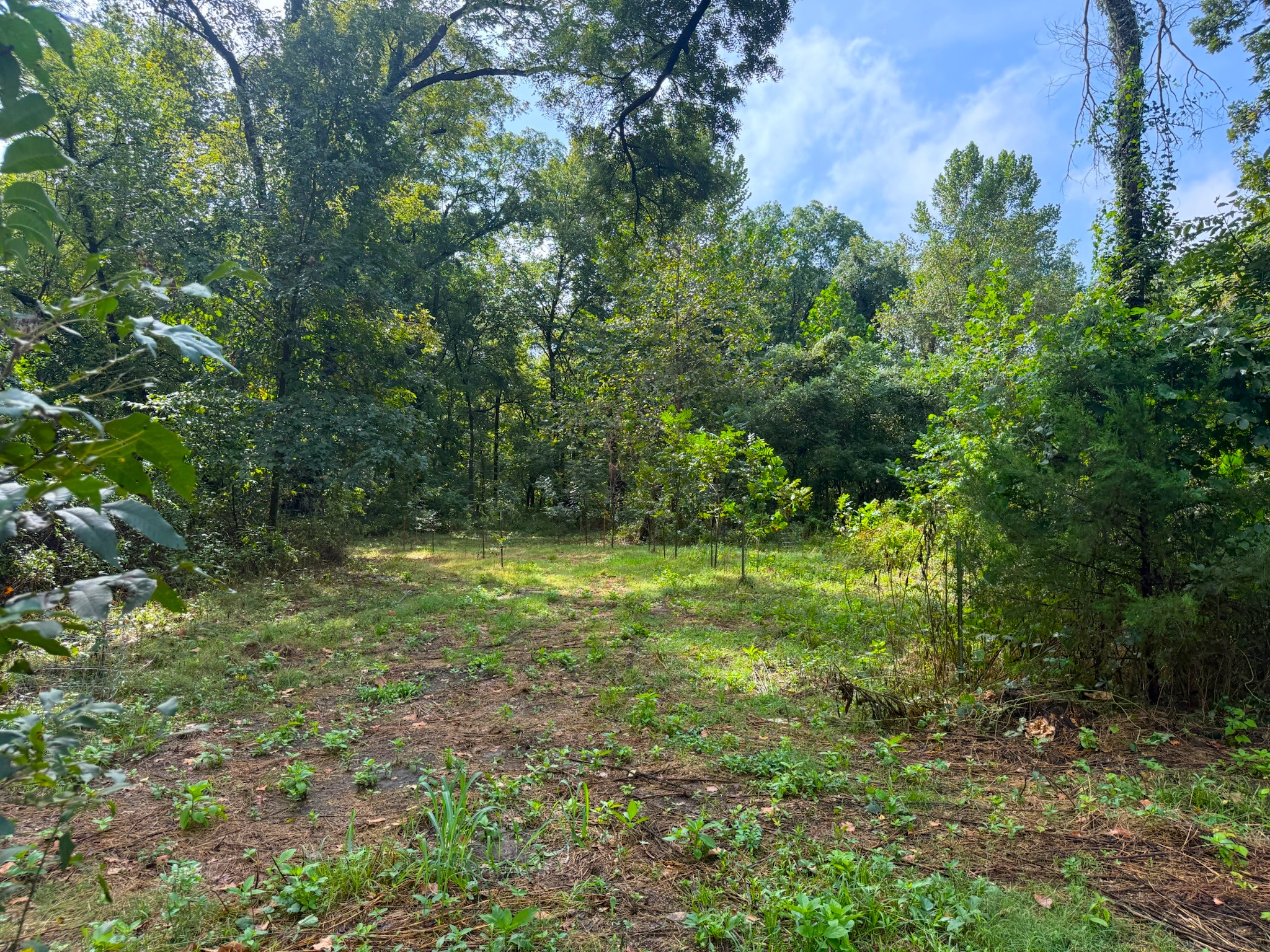 17660 Golden Road