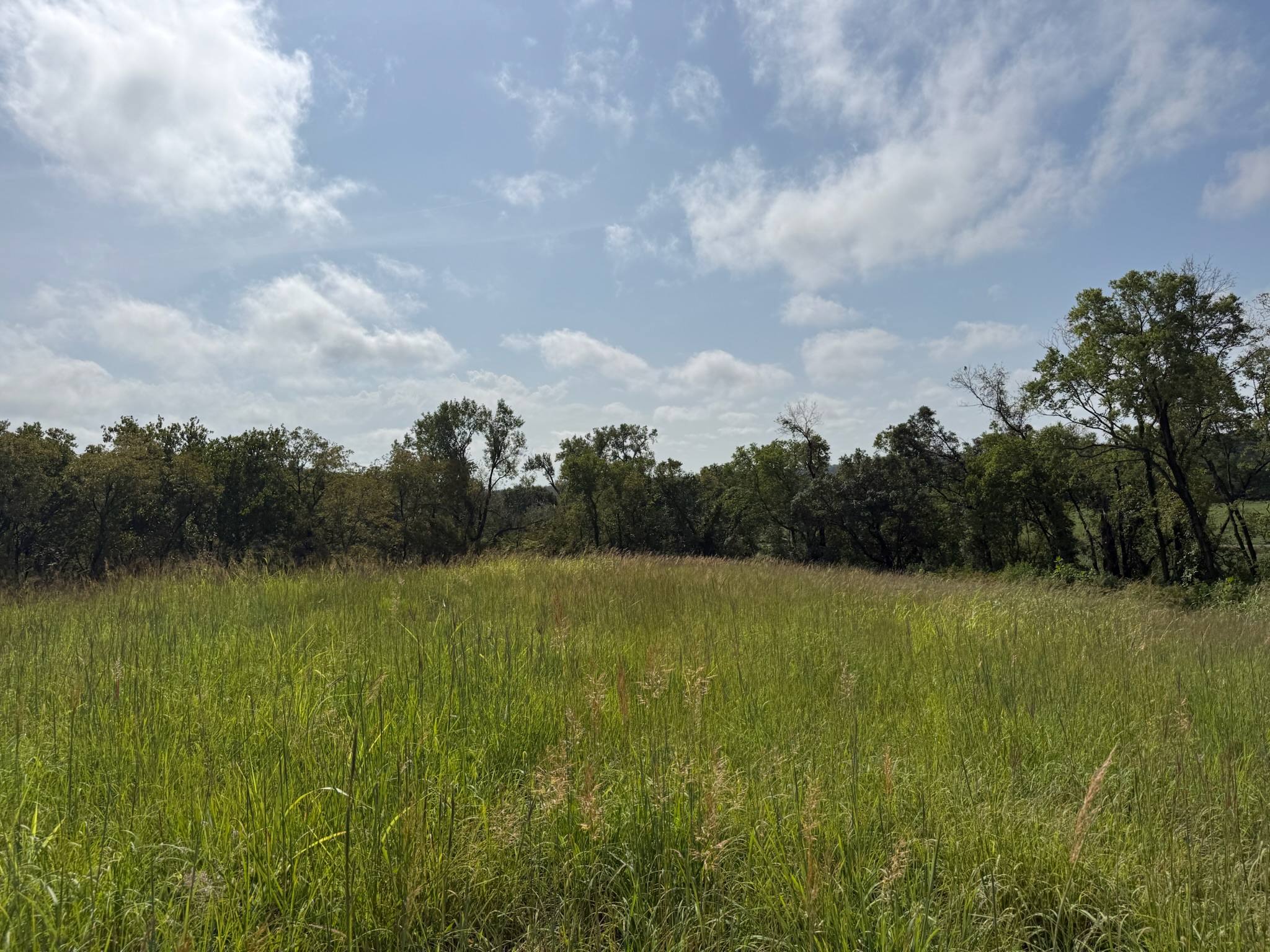 17840 Golden Road