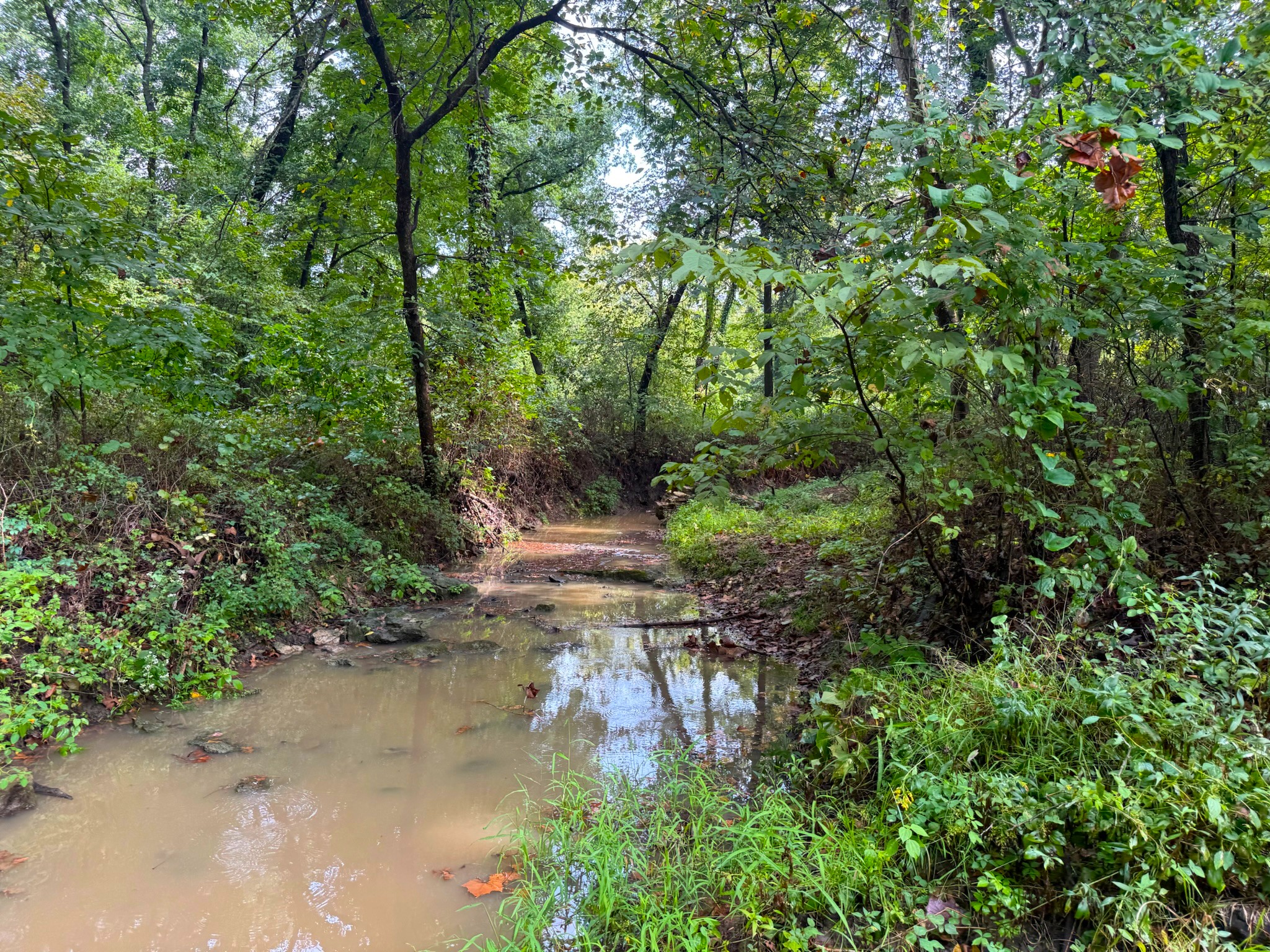 17660 Golden Road