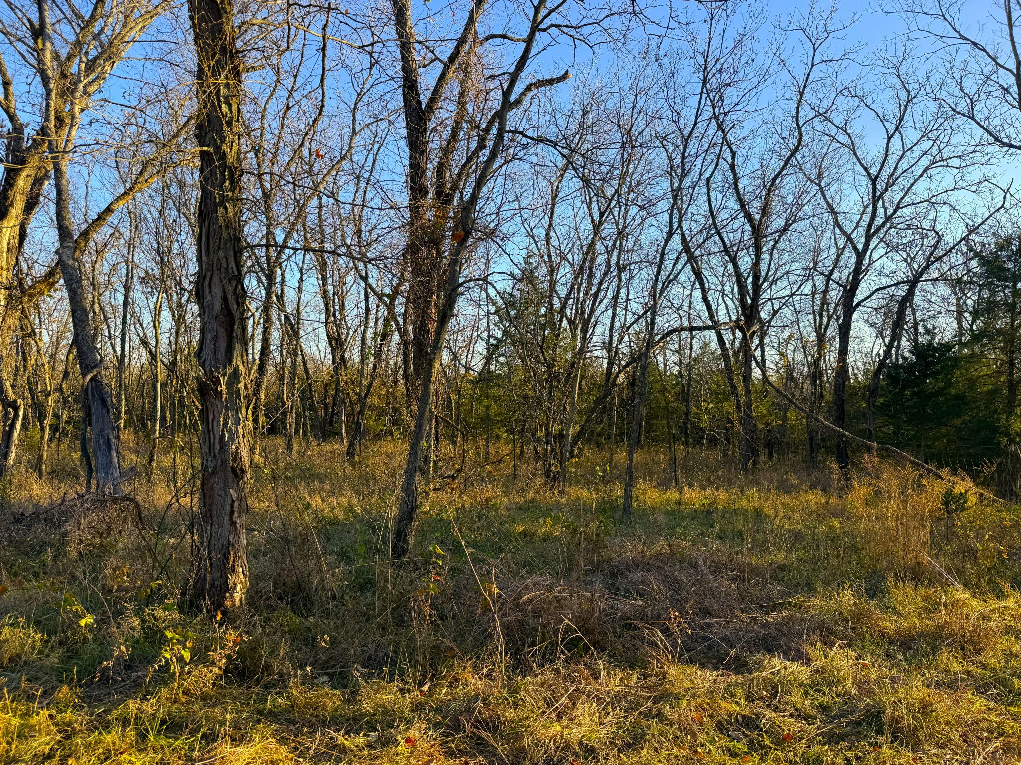 135 N 1150 Road