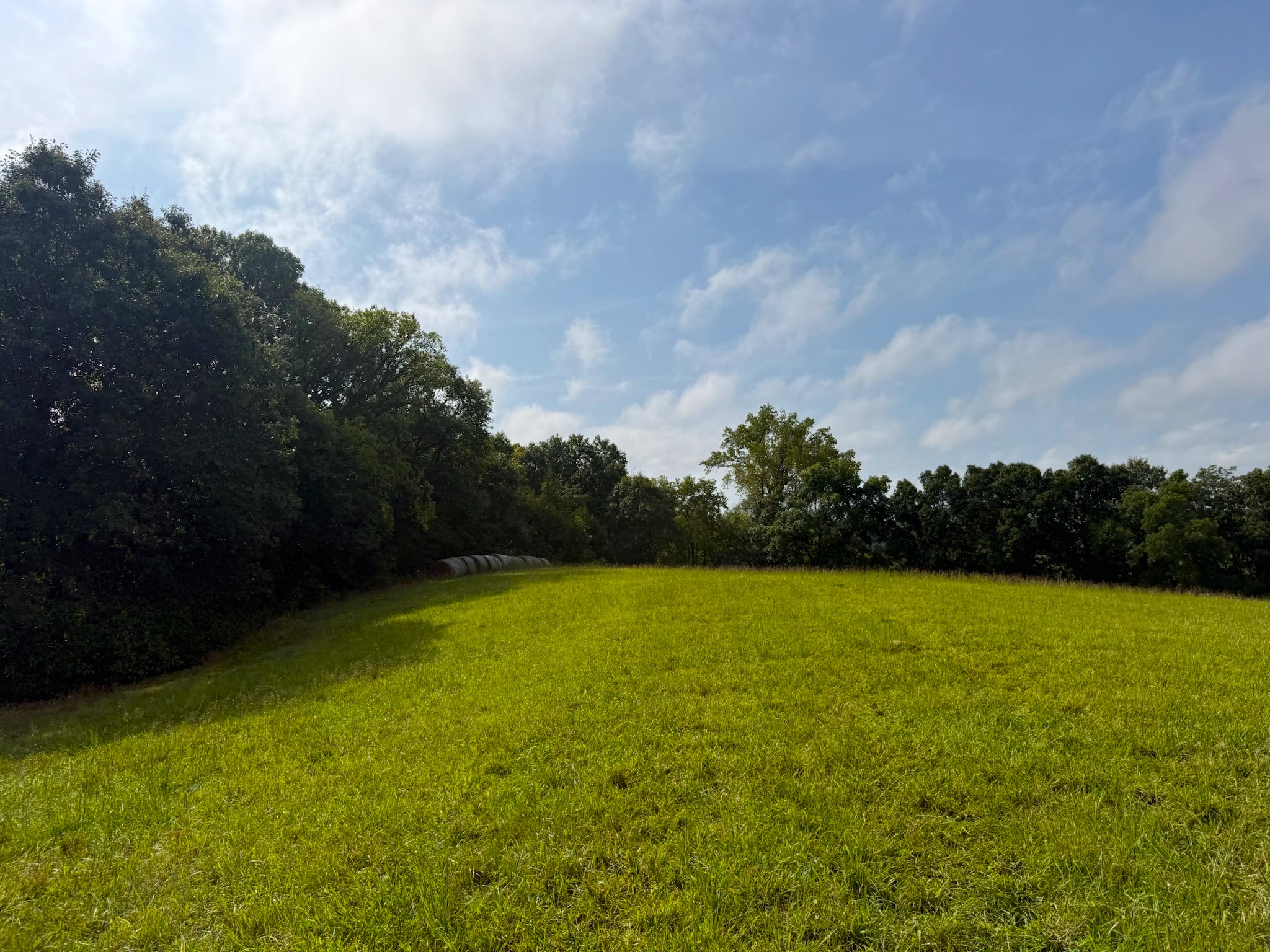 17660 Golden Road