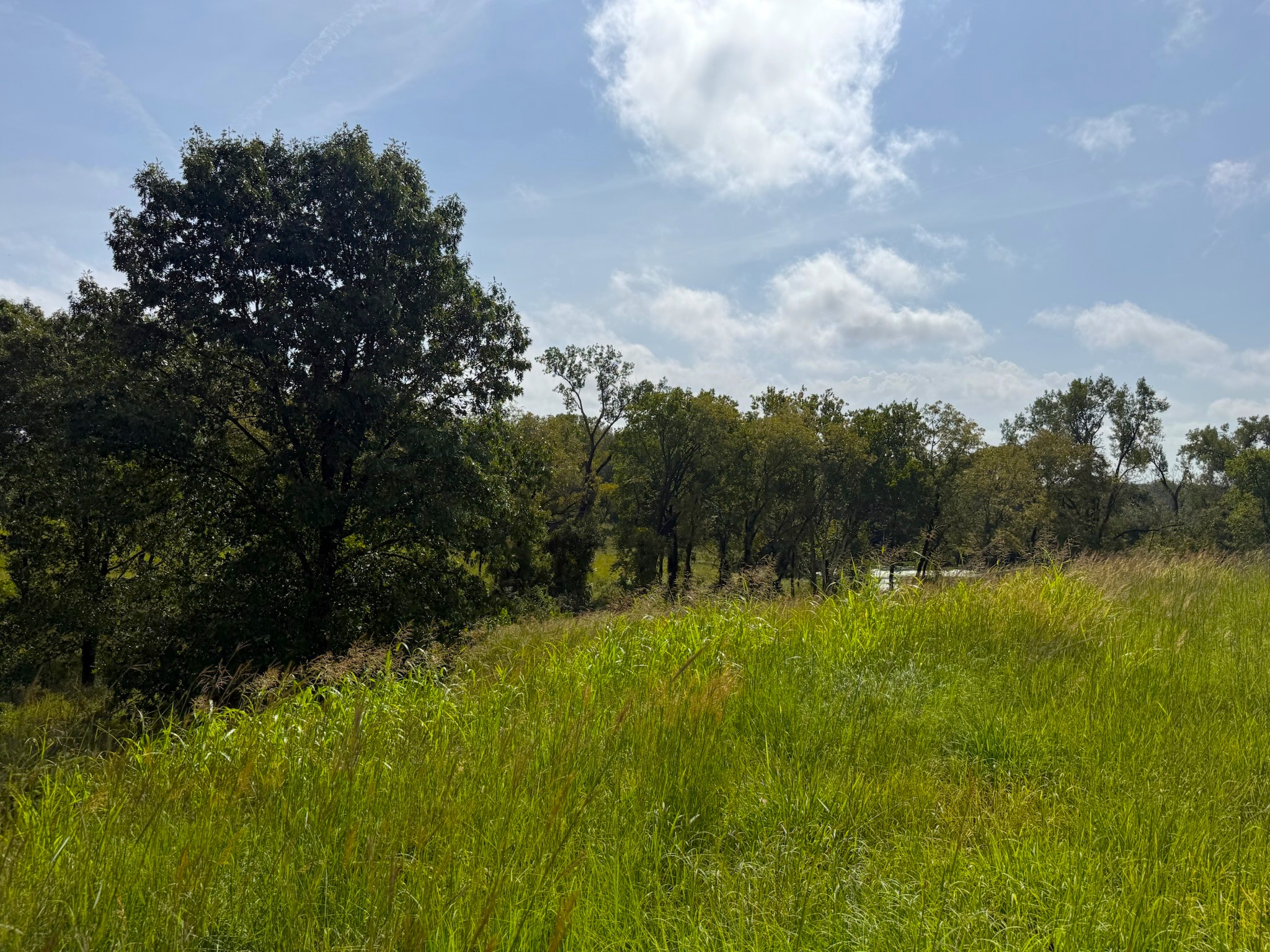 17840 Golden Road