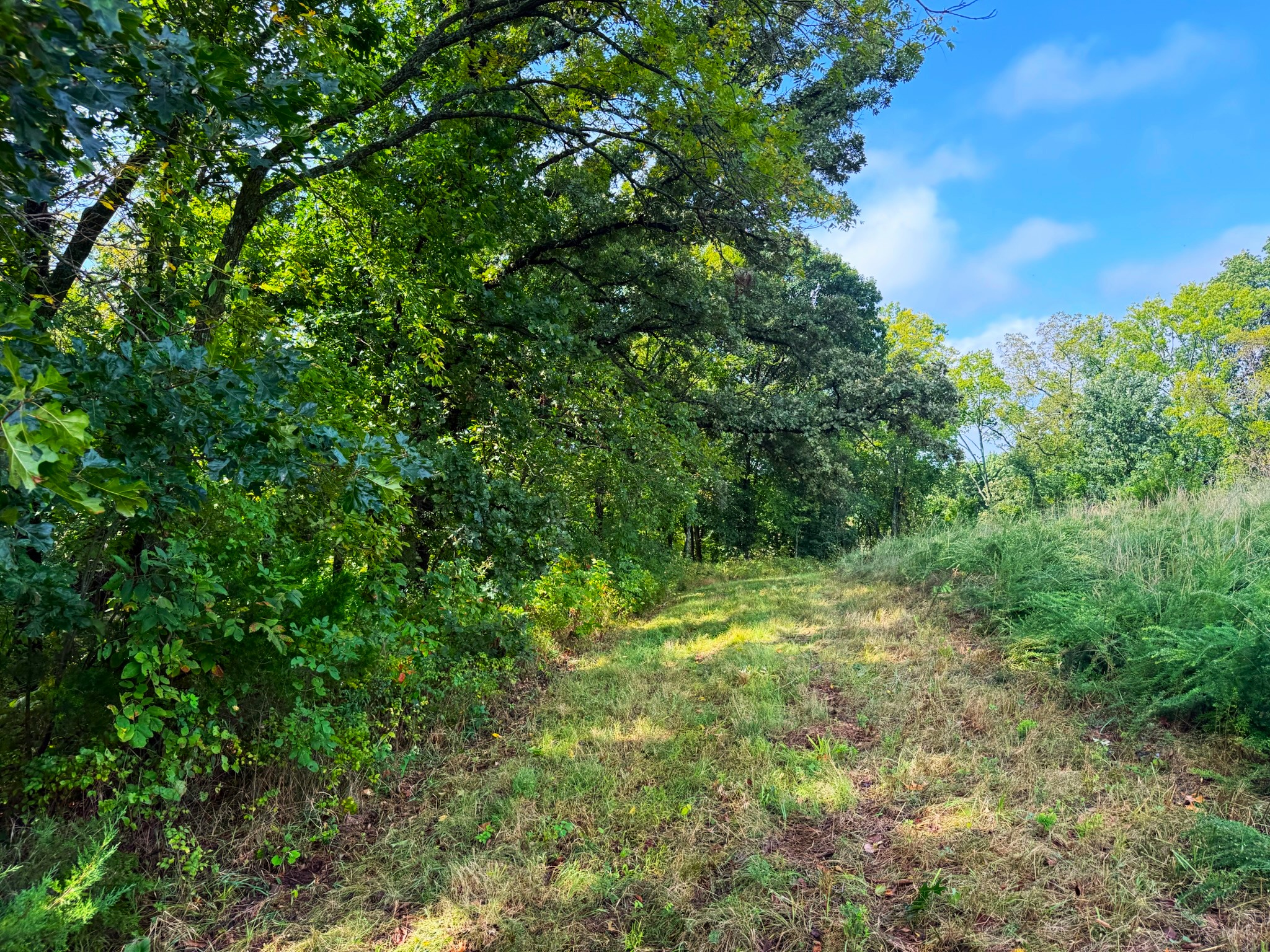 17840 Golden Road