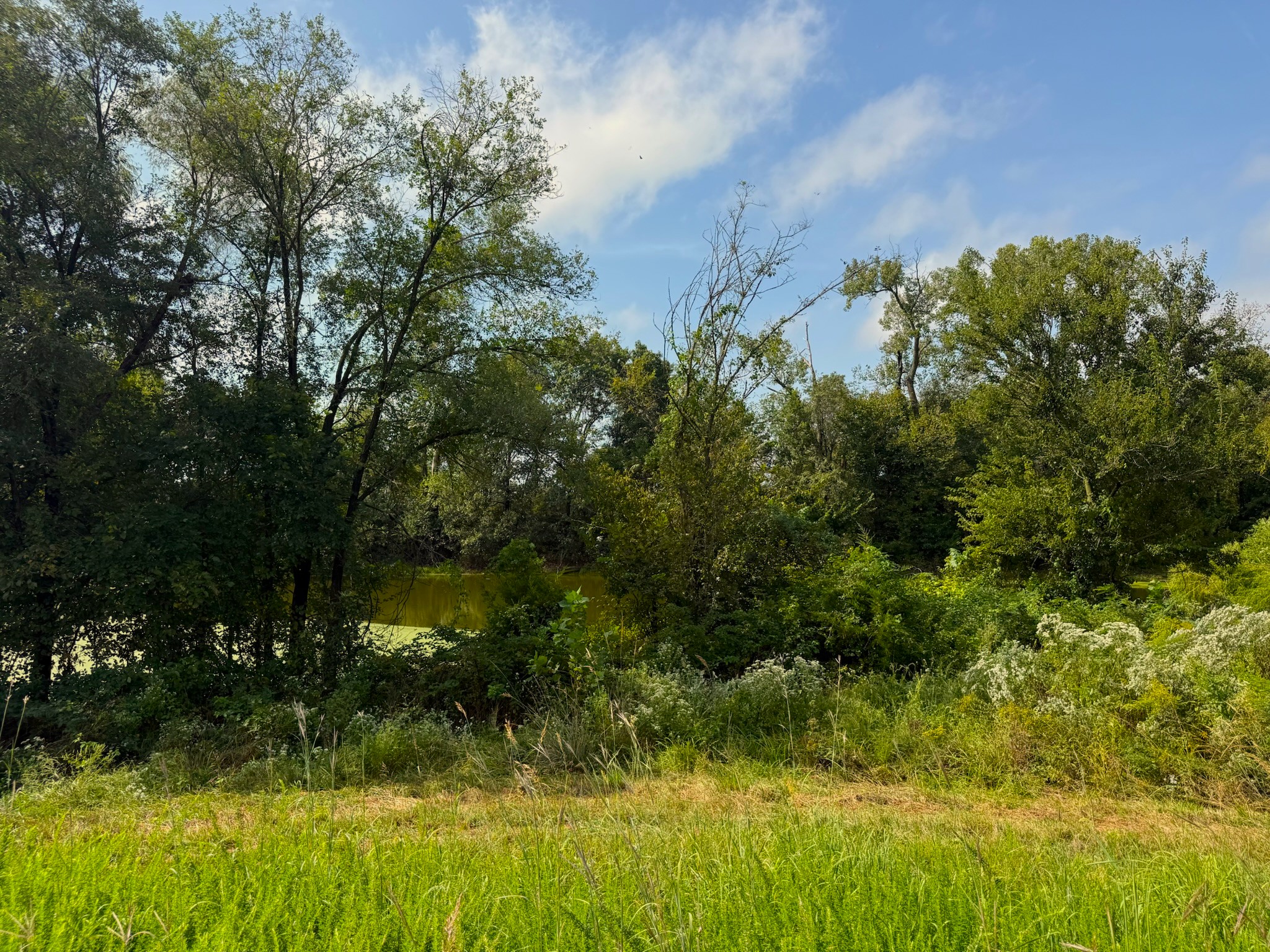 17840 Golden Road