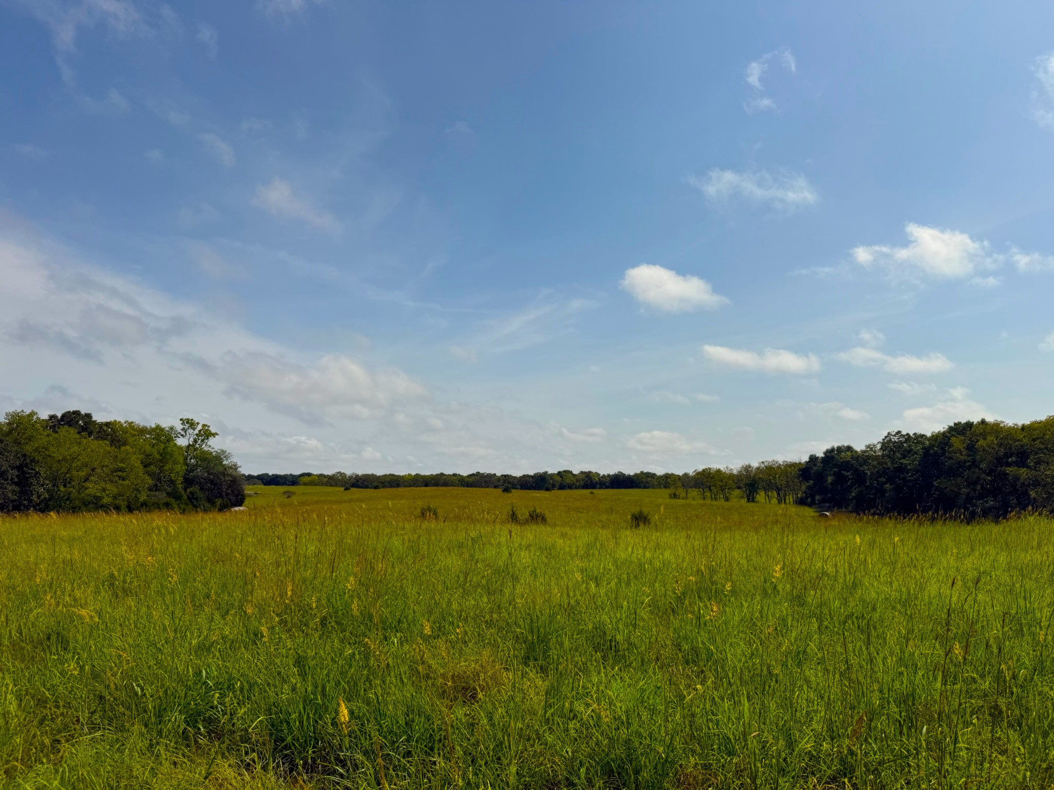 17688 Golden Road