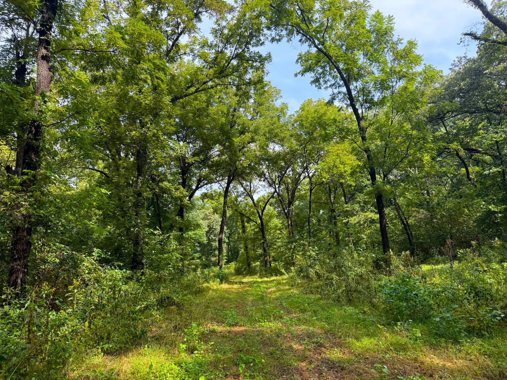 17660 Golden Road