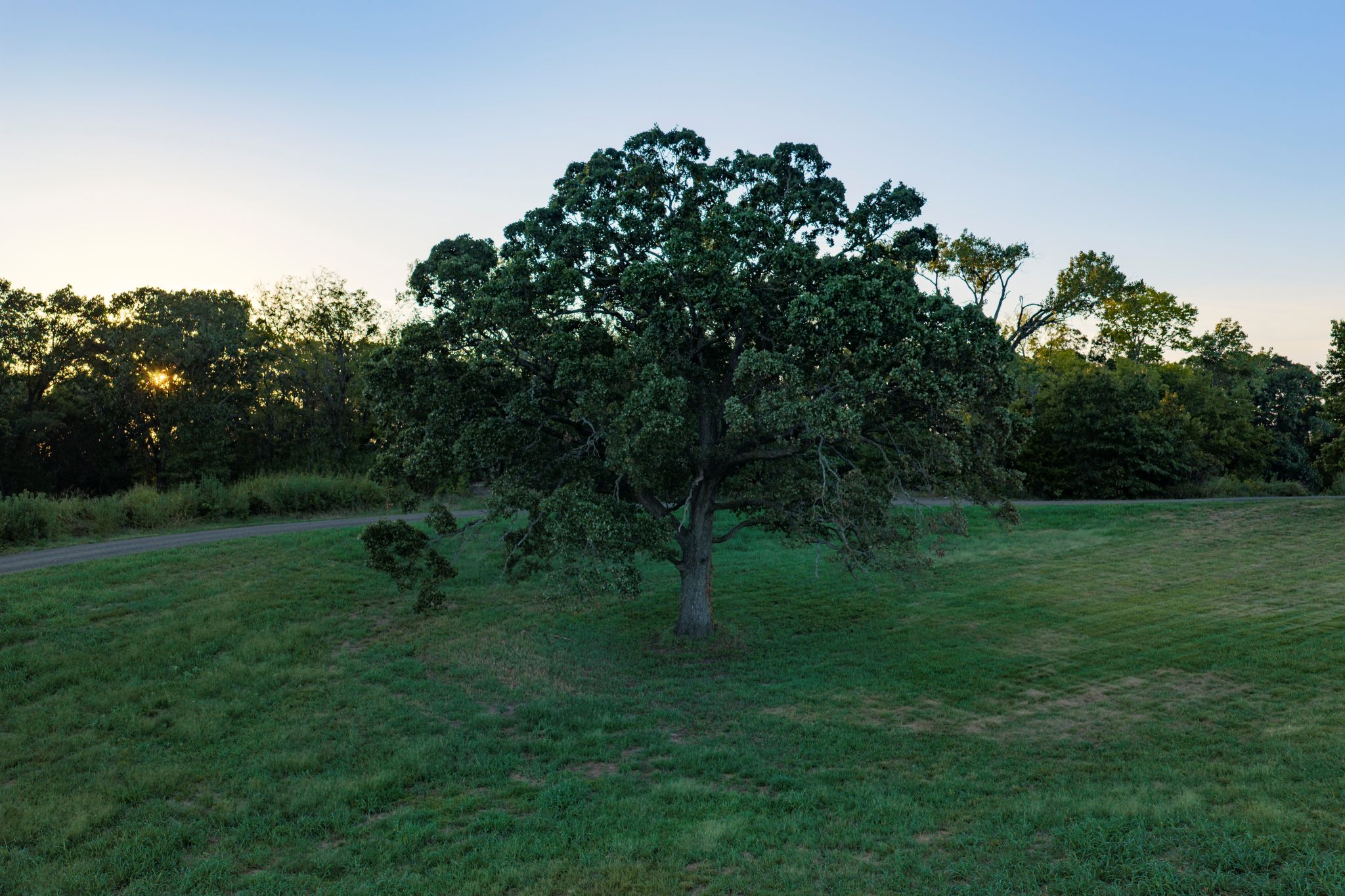 17688 Golden Road