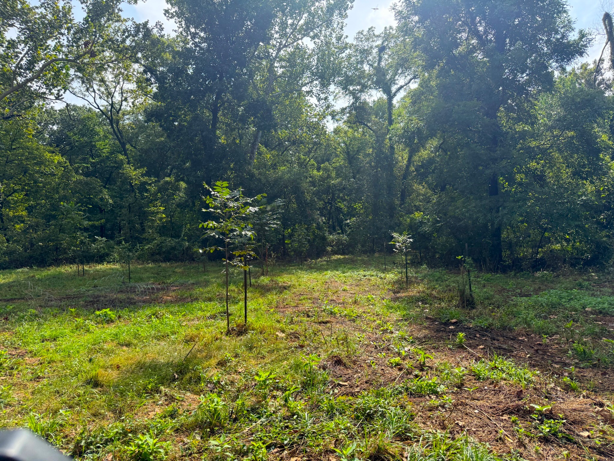 17660 Golden Road