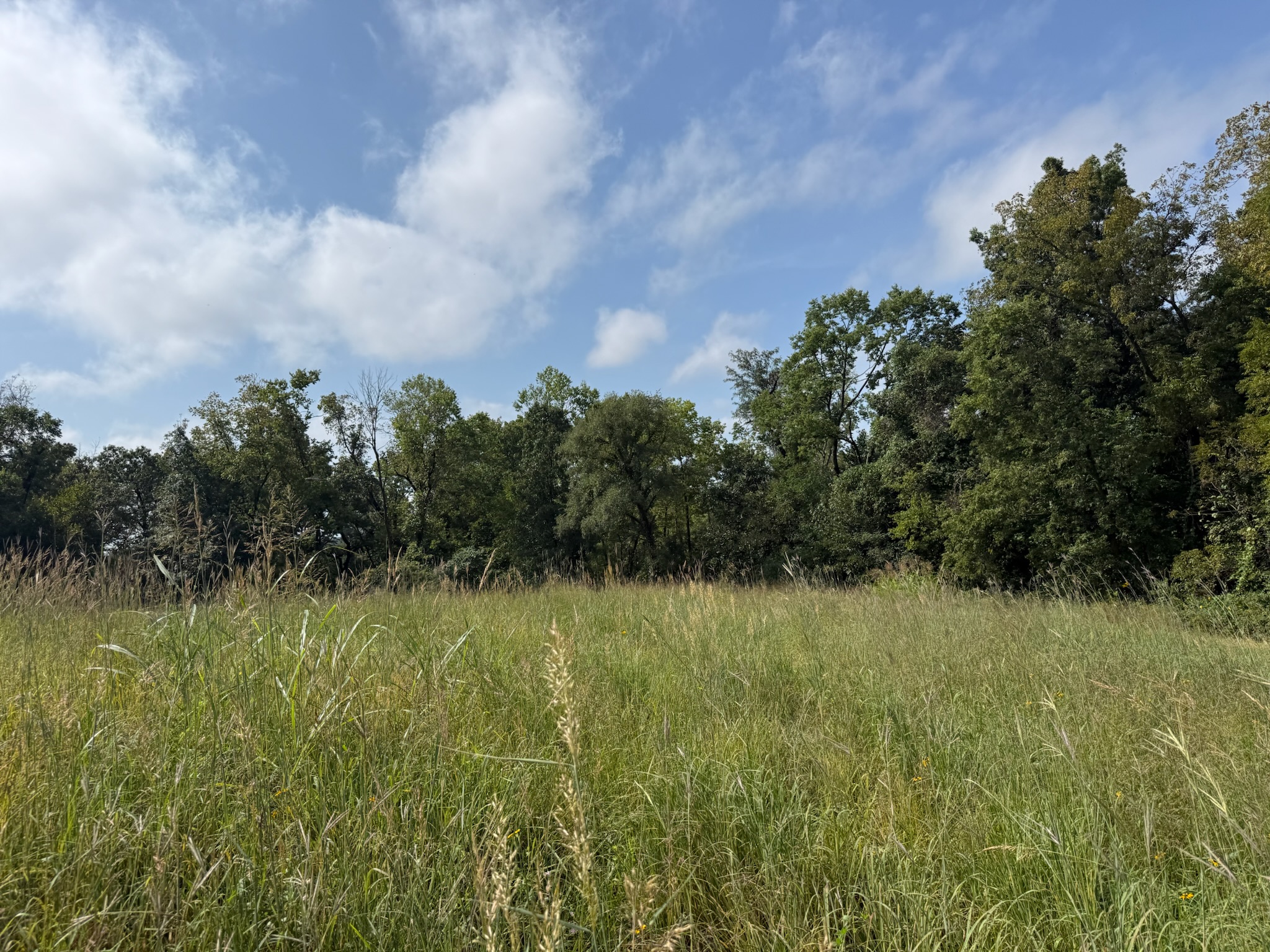 17840 Golden Road